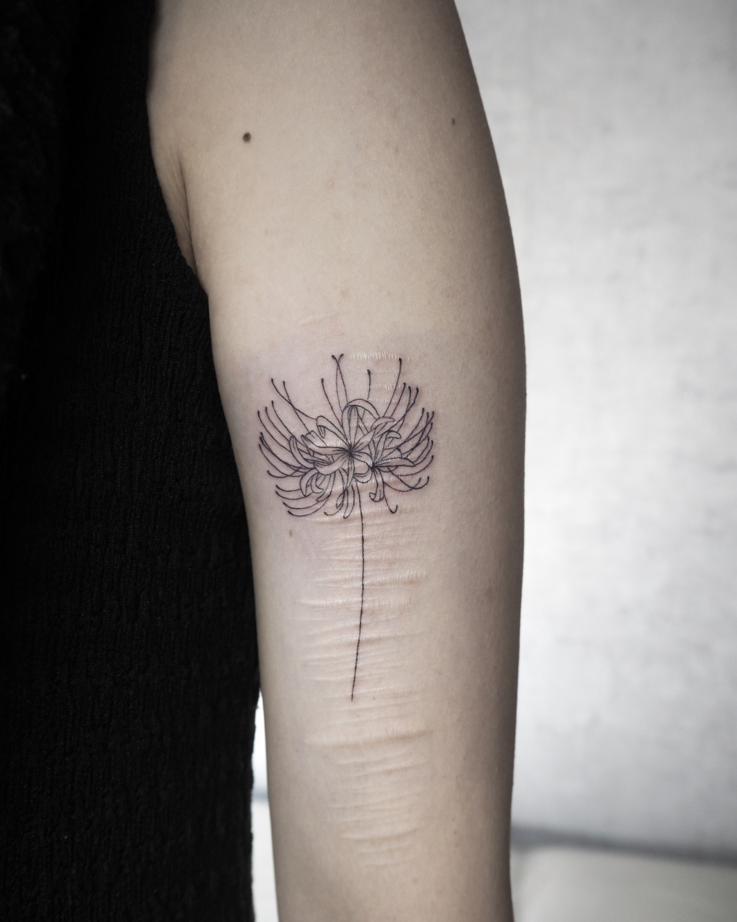 彼岸花 -spider lily- タトゥー | Gallery | 東京・日暮里の刺青、タトゥースタジオは T.C Tattoo Tokyo ...