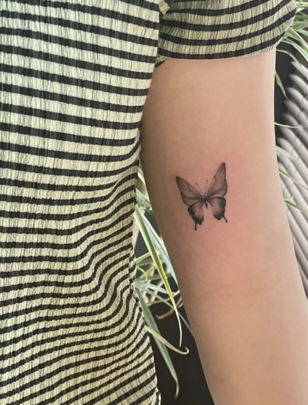 蝶　butterfly tattoo