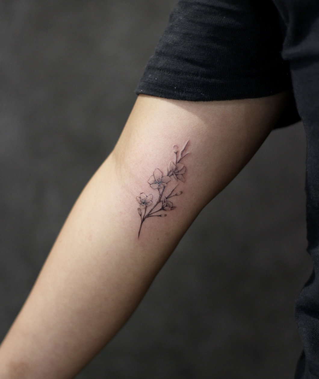 桜　−Cherry blossom tattoo−