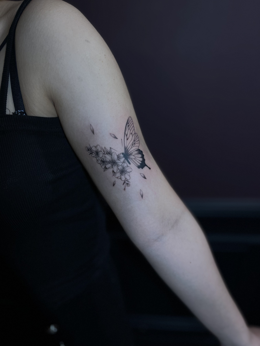 Cherry Blossom ×  butterfly