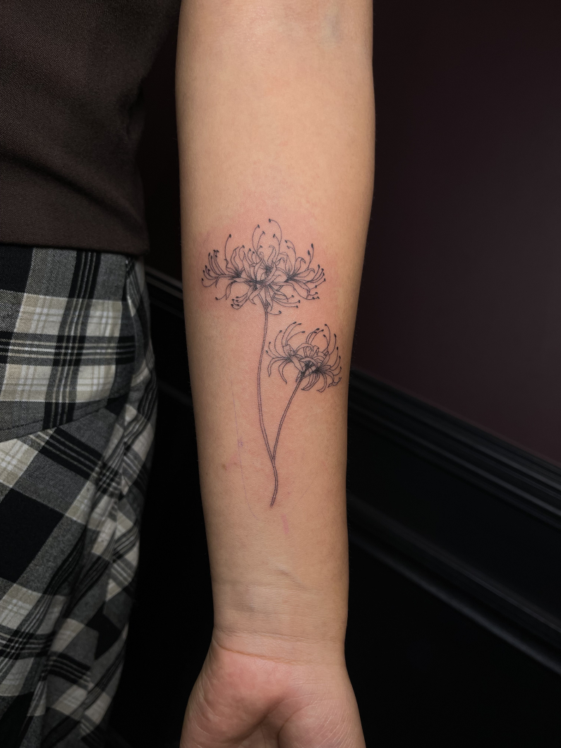 spider Lily