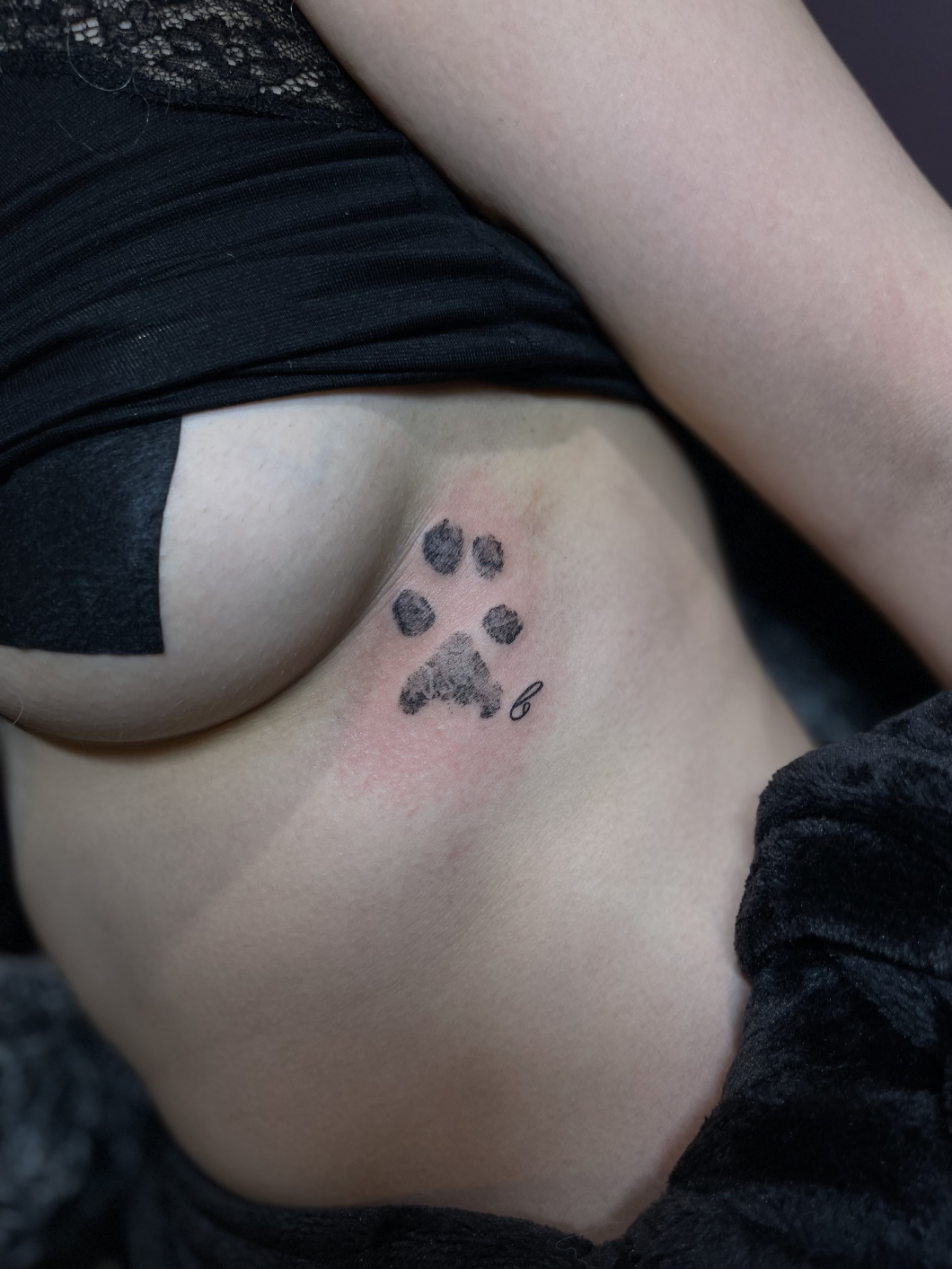 paw pad × initial