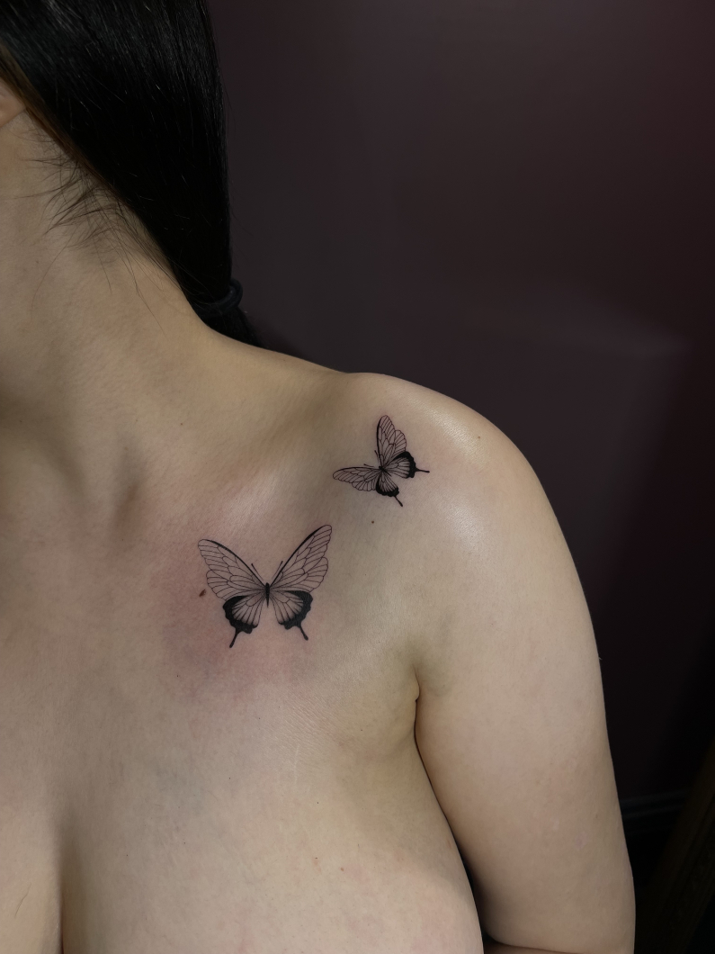 butterfly
