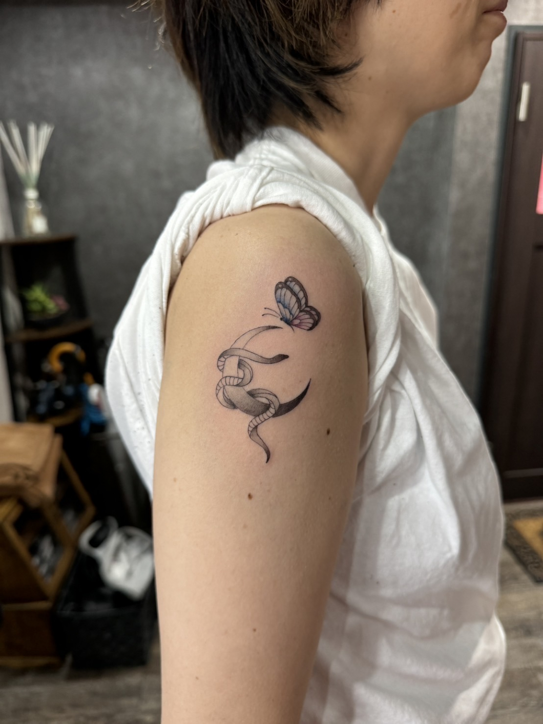 蝶　蛇　月