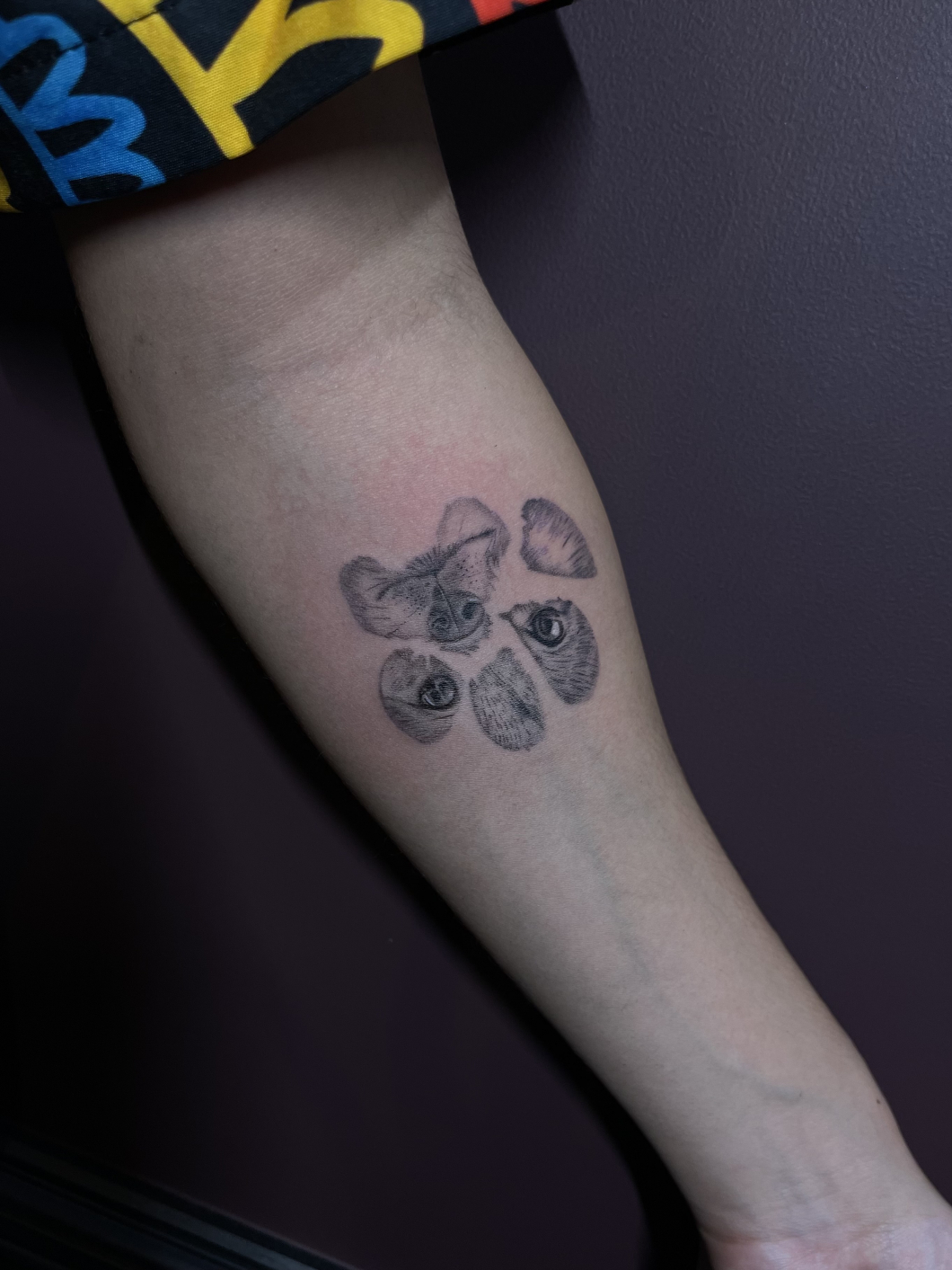 わんちゃんの顔×肉球