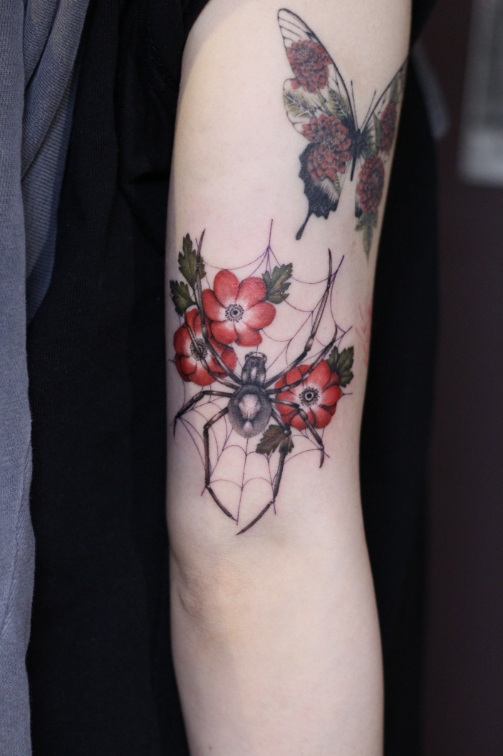 蜘蛛×アネモネ