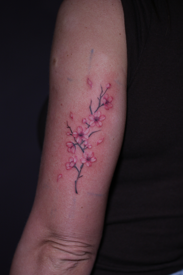 桜