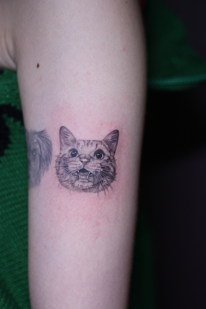 愛猫